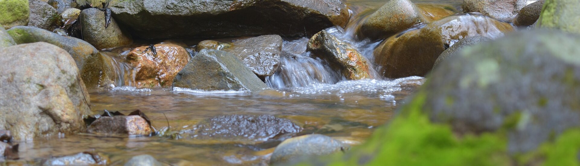 Les cours d'eau & les riverains