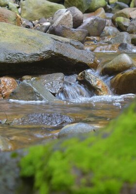 Les cours d'eau & les riverains